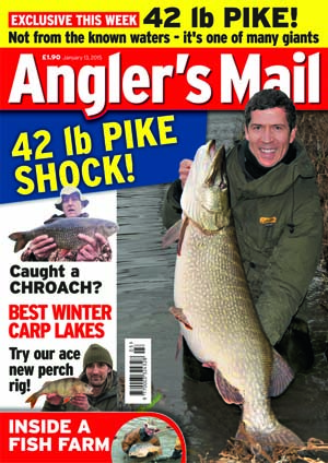 AM cover jan 13 300.jpg